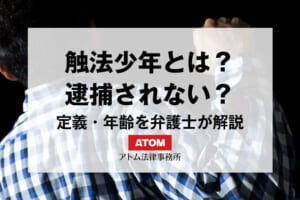 触法少年とは?逮捕・処分されることはない?定義・年齢を弁護士が解説 1 24114273