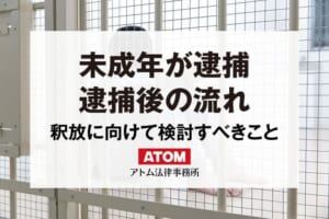 未成年は逮捕される?未成年の逮捕後の流れは?弁護士解説 254 未成年が逮捕 逮捕後の流れ