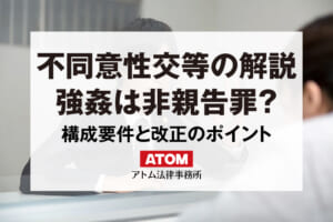 不同意性交等の解説