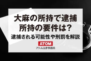 大麻の所持は逮捕される?所持の要件や刑罰を解説! 114 大麻の所持で逮捕