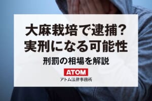 大麻を栽培したら逮捕される?不安なことは弁護士に相談しよう 269 大麻栽培で逮捕?