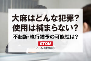 大麻所持や使用は犯罪?捕まらない事例は?逮捕されたら刑罰は? 47 大麻はどんな犯罪?
