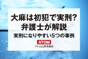大麻は初犯でも実刑になる?実刑になりやすい5つの事例とは 99 大麻は初犯で実刑?